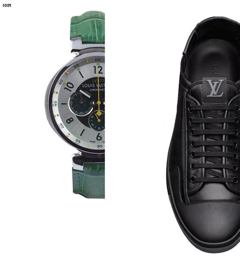 louis vuitton winterjas heren|louis vuitton outlet online.